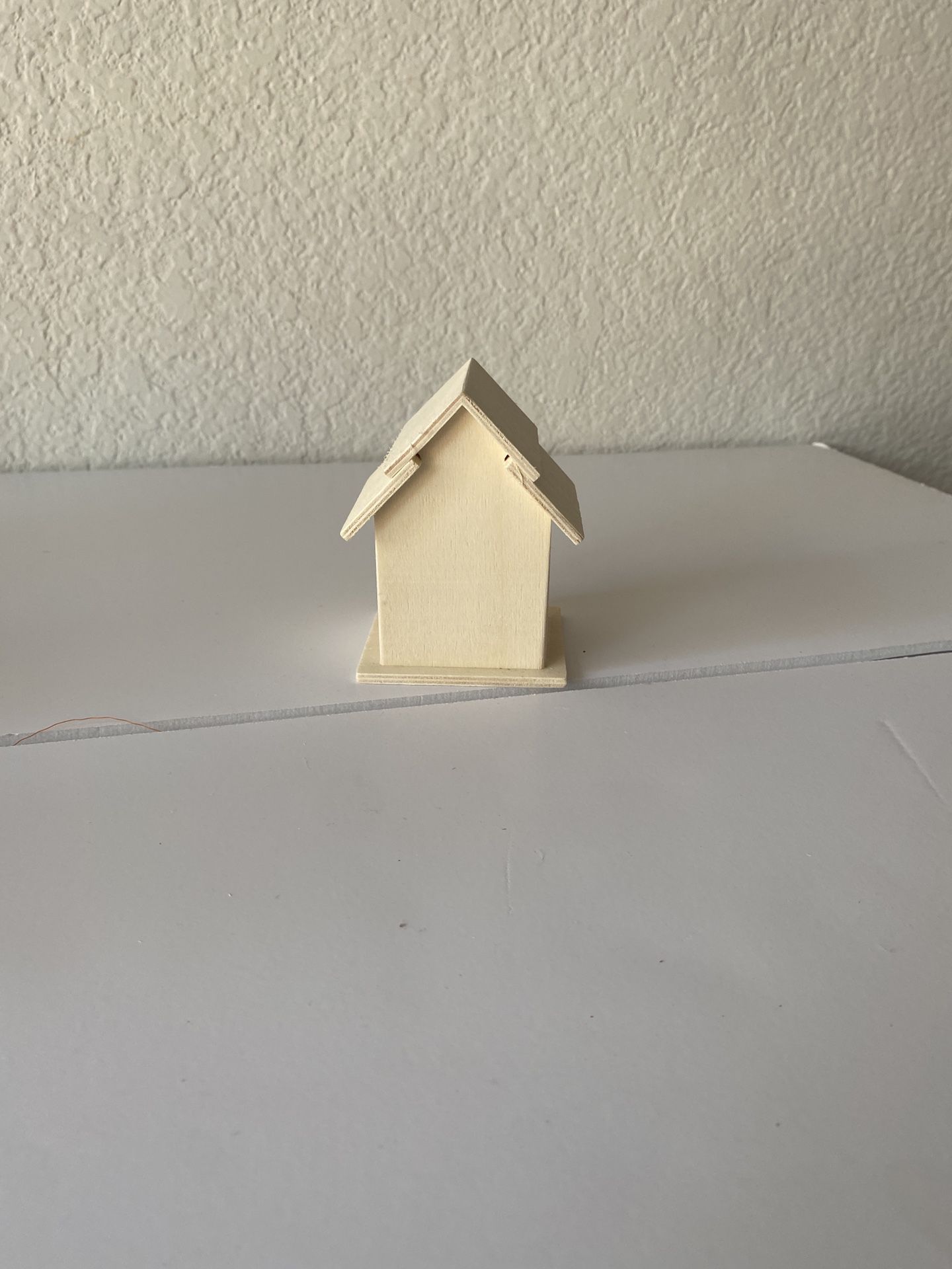 Bird Houses and Crafts Supplies