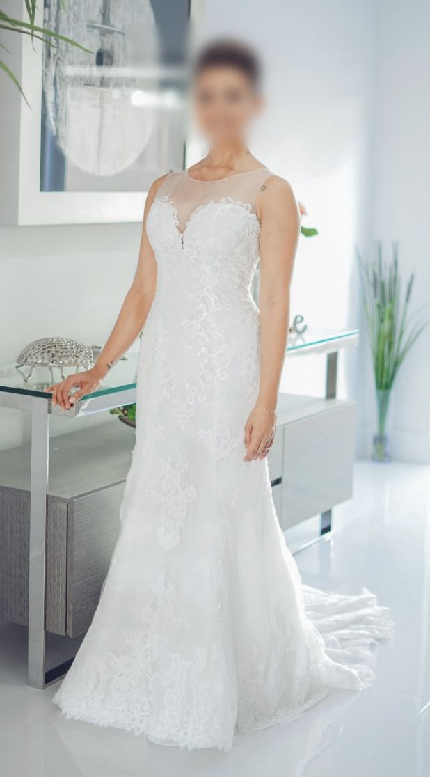 Wedding Dress and Veil