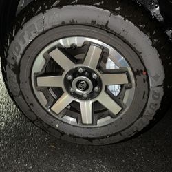 Wheels And Tires  Thumbnail