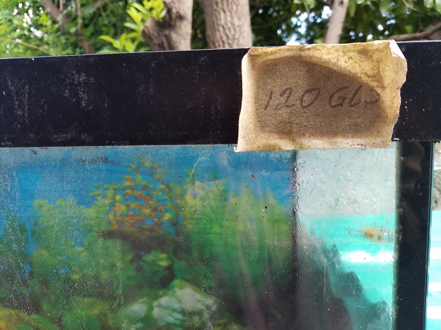 120 gallon Marineland fish tank for Sale in Miami, FL OfferUp