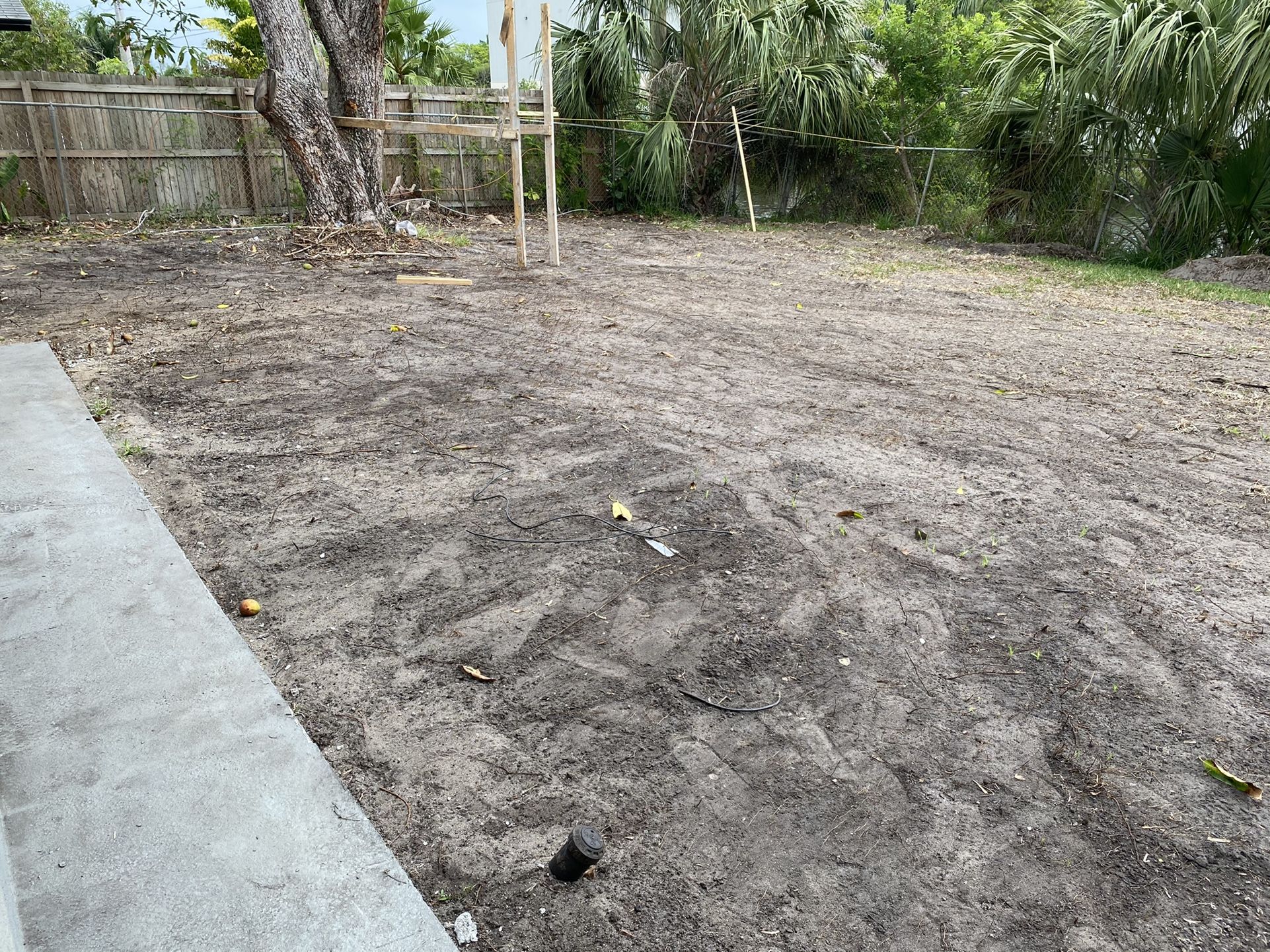 Bobcat sevice/ Dirt leveling/ Land Clearing