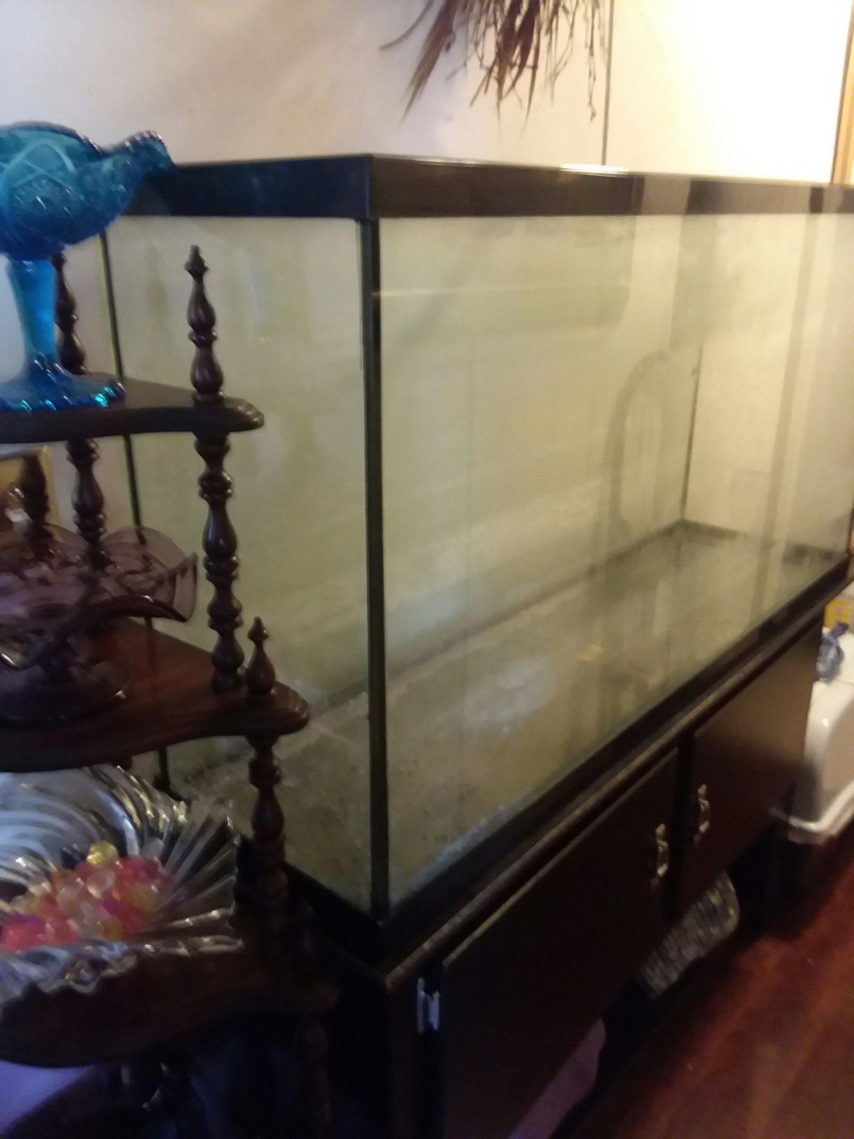 70 Gallon Aquarium and Cabinet Stand