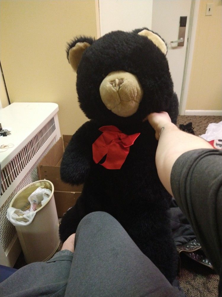 Bear