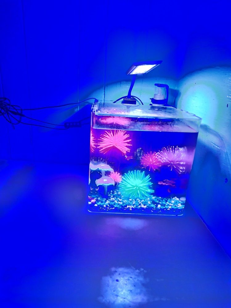 Fish Tank