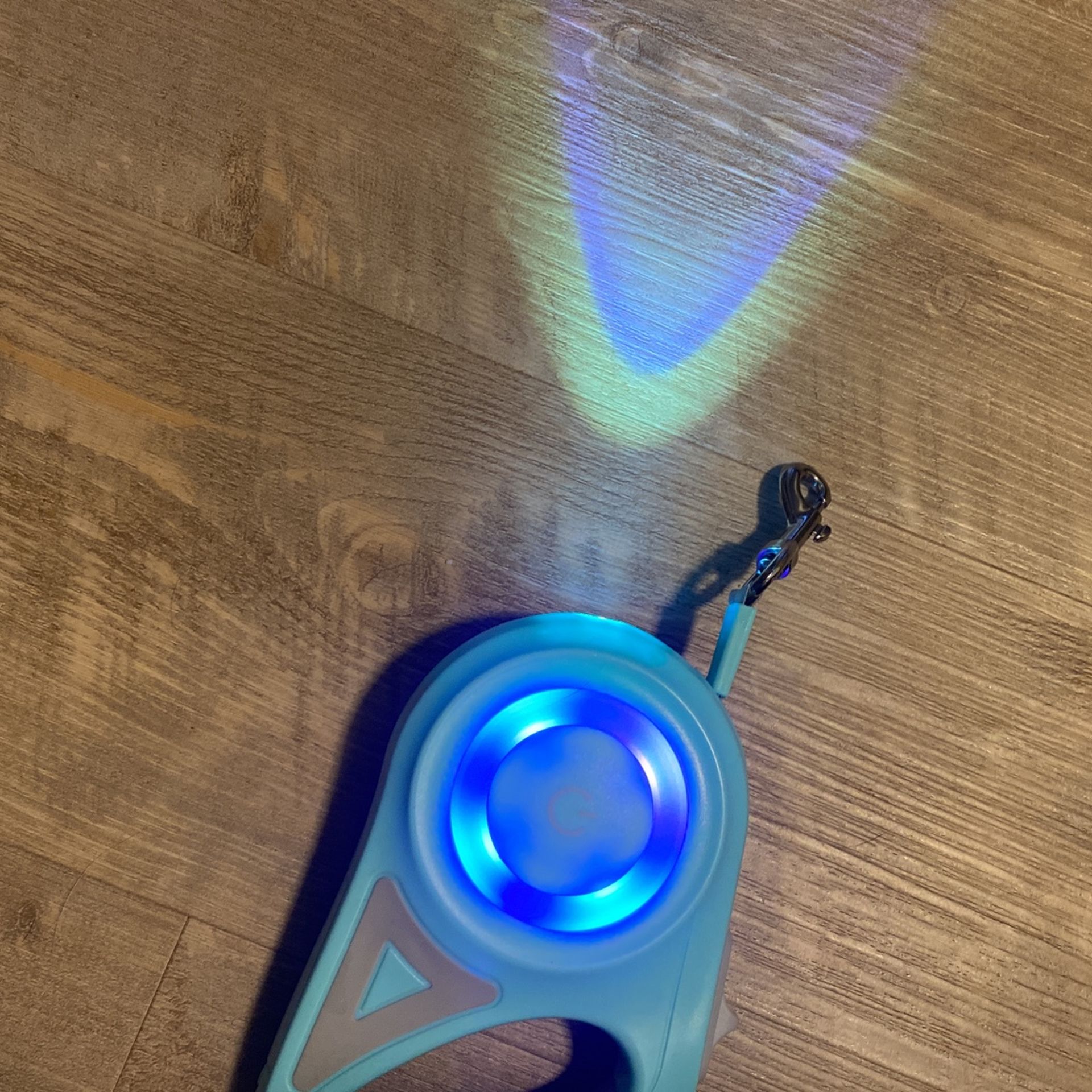 Light Up Led Dog Leash / Cat Leash