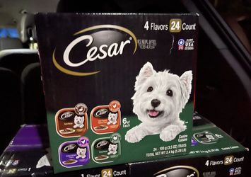 Cesar Dog Food Thumbnail