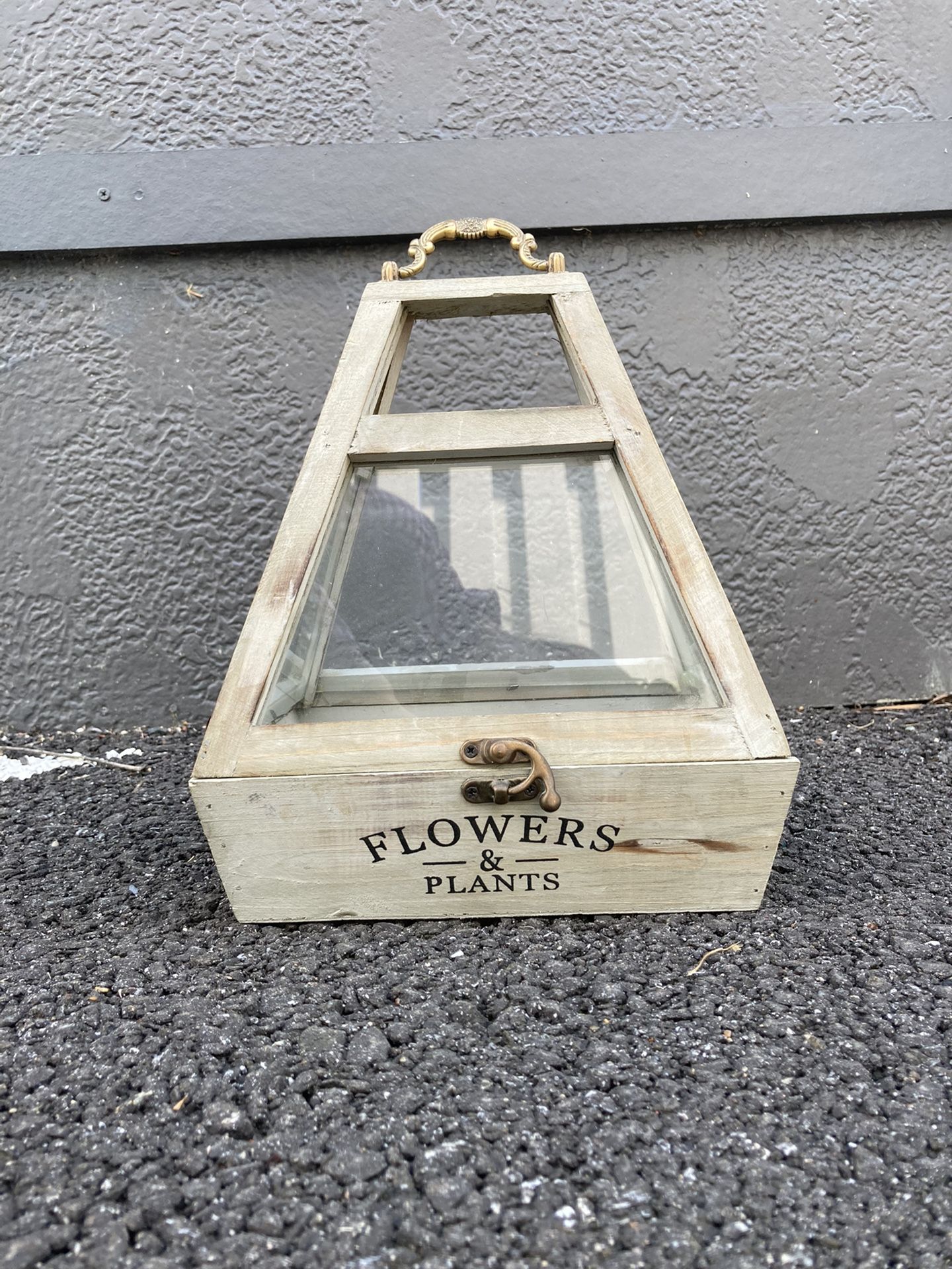 Small Terrarium