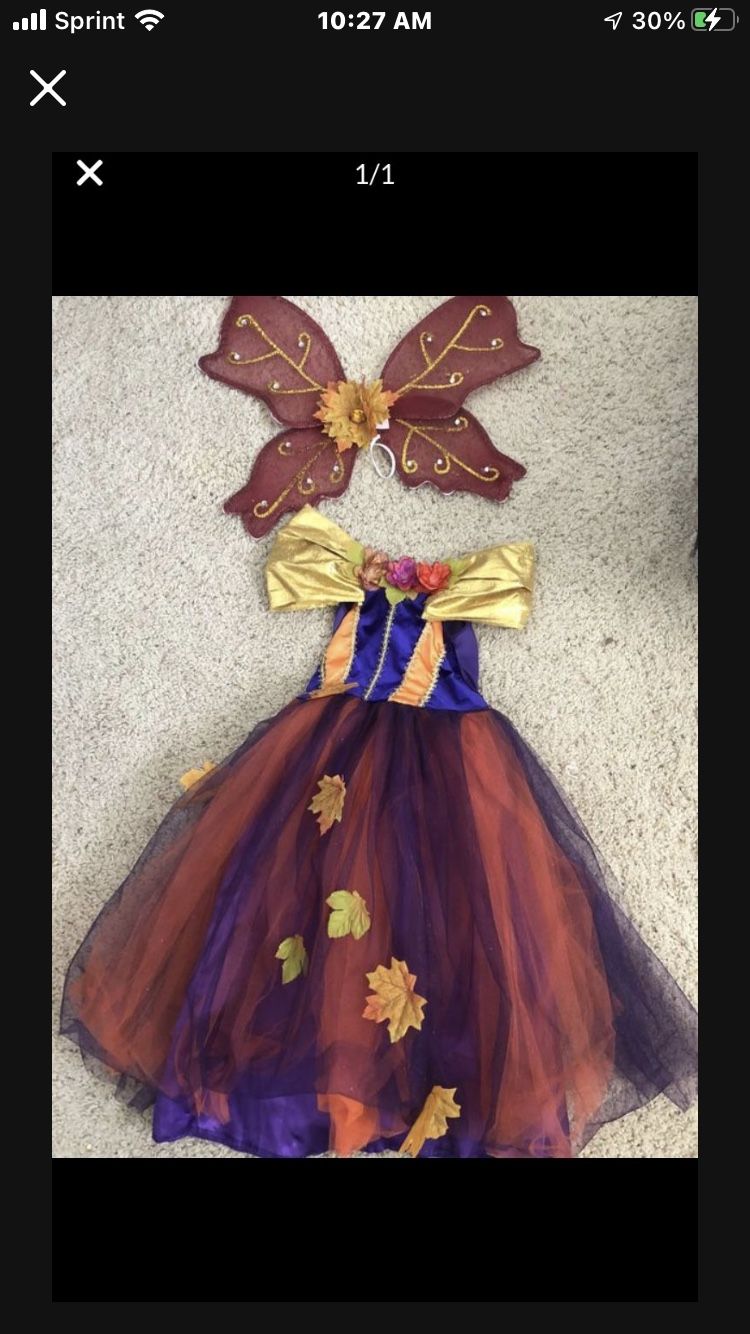 3 Costumes Autumn Fairy/ Shopkins /strawberry Shortcake