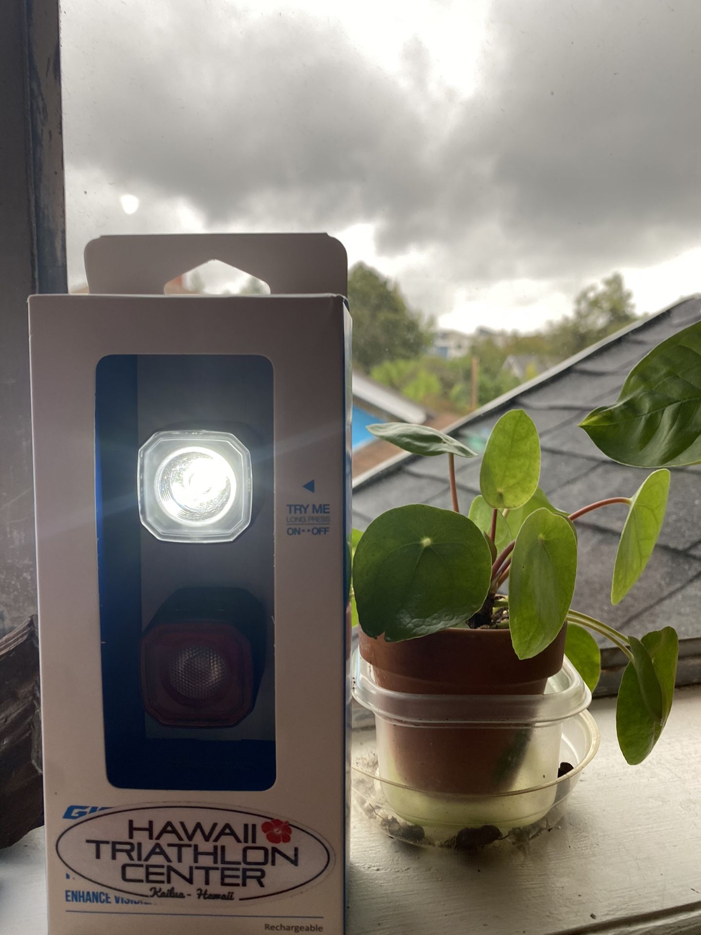 Giant HL 100 Combo bike Lights NEW