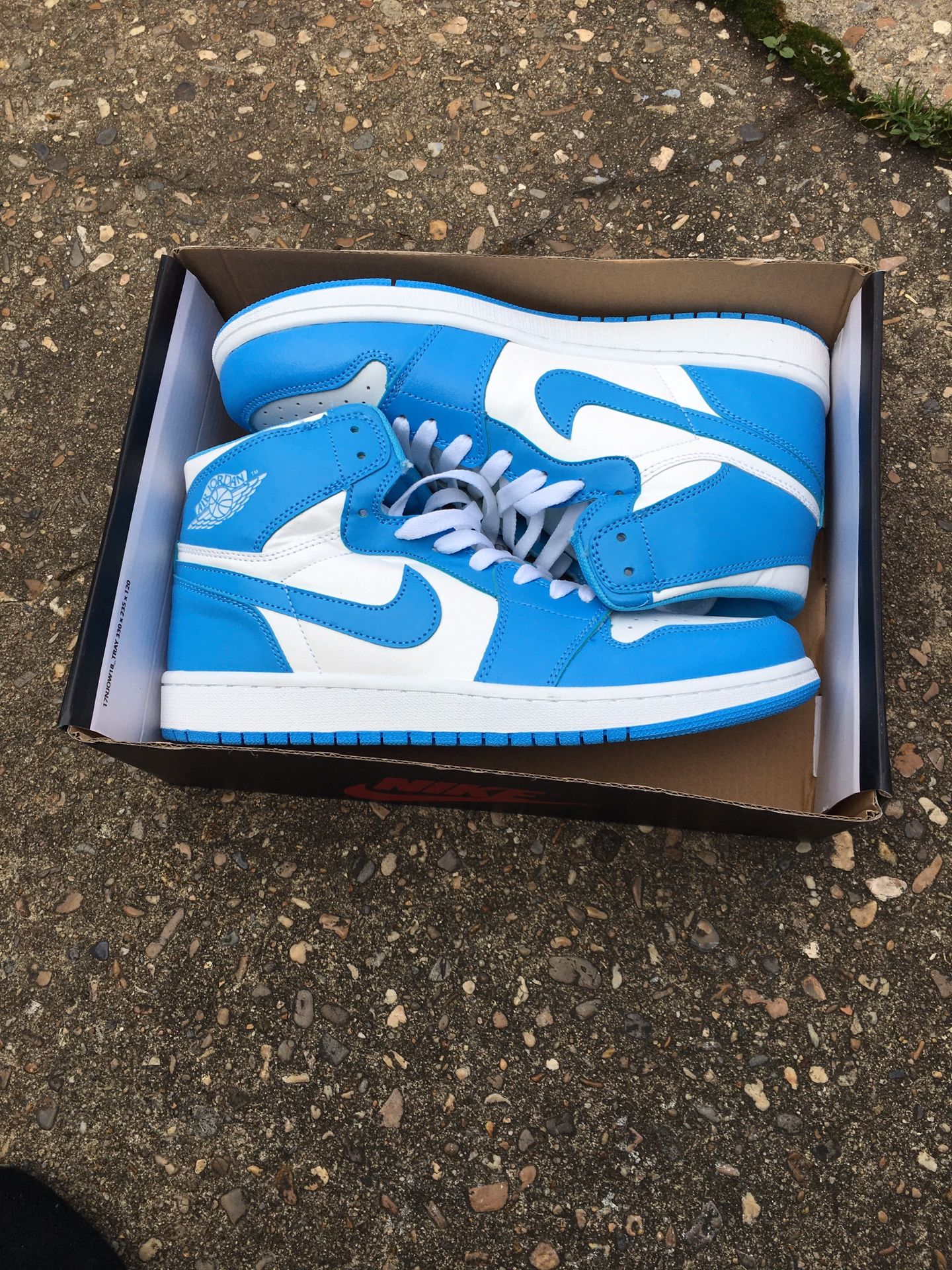 Jordan 1 Retro size 12