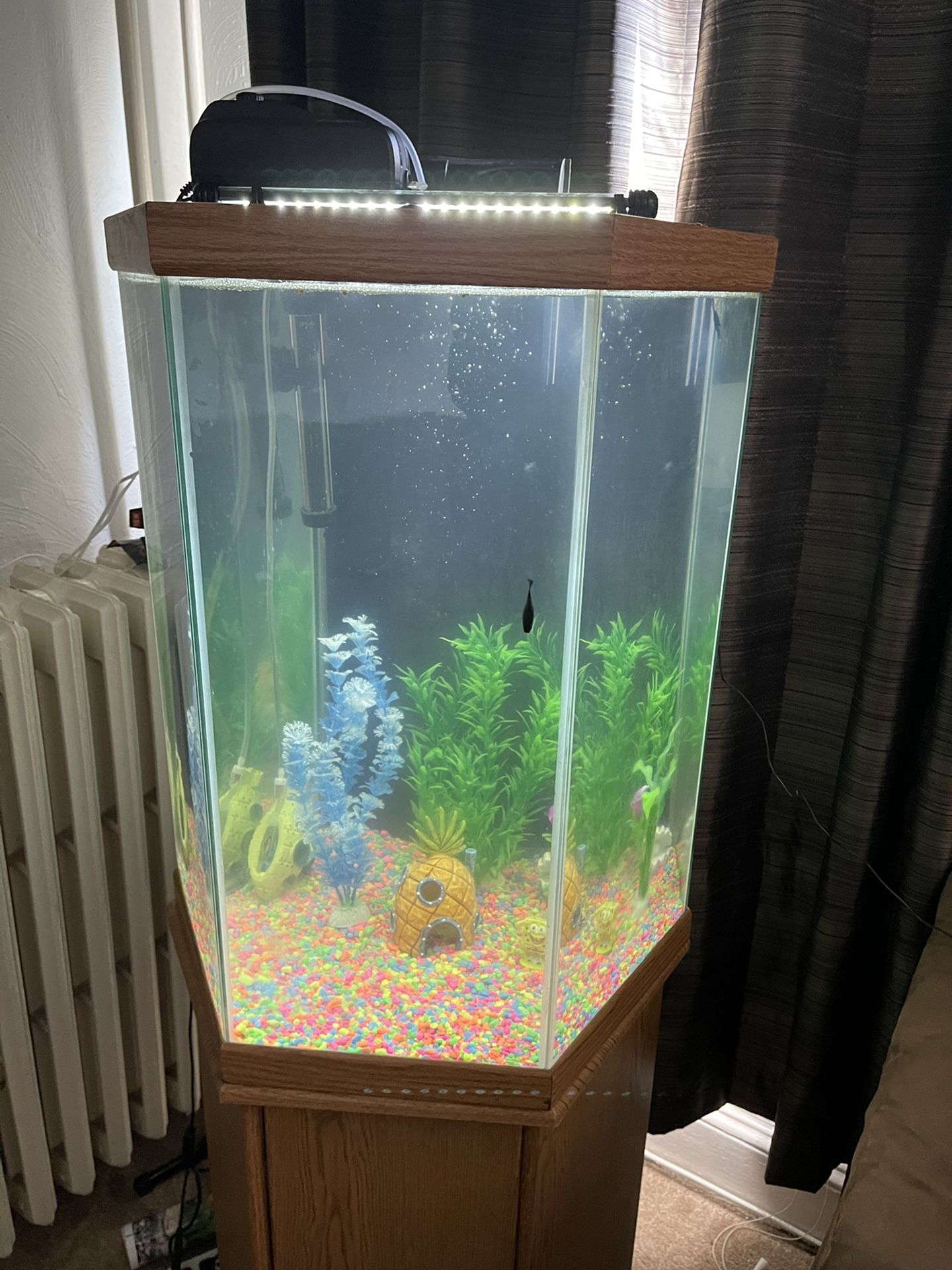35 Gallon Fish Tank With Stand And Lid
