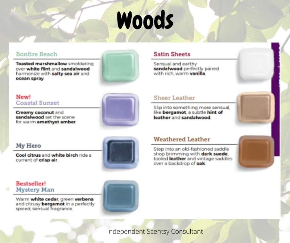 Scentsy Spring/ Summer Scent Bars