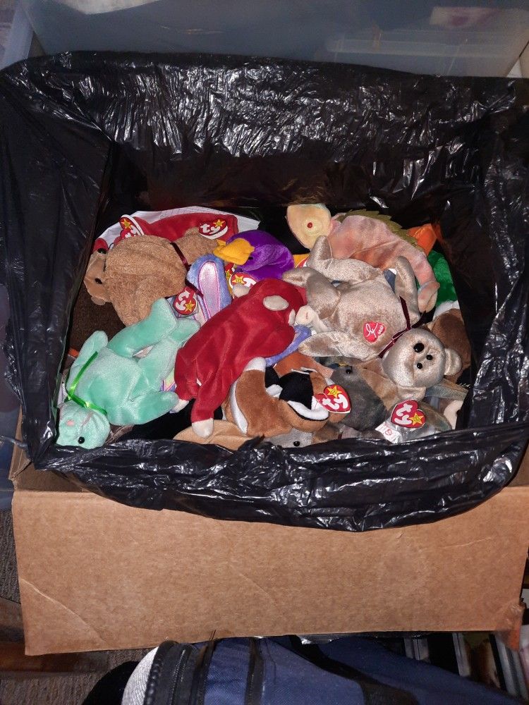 Ty Beanie Babies