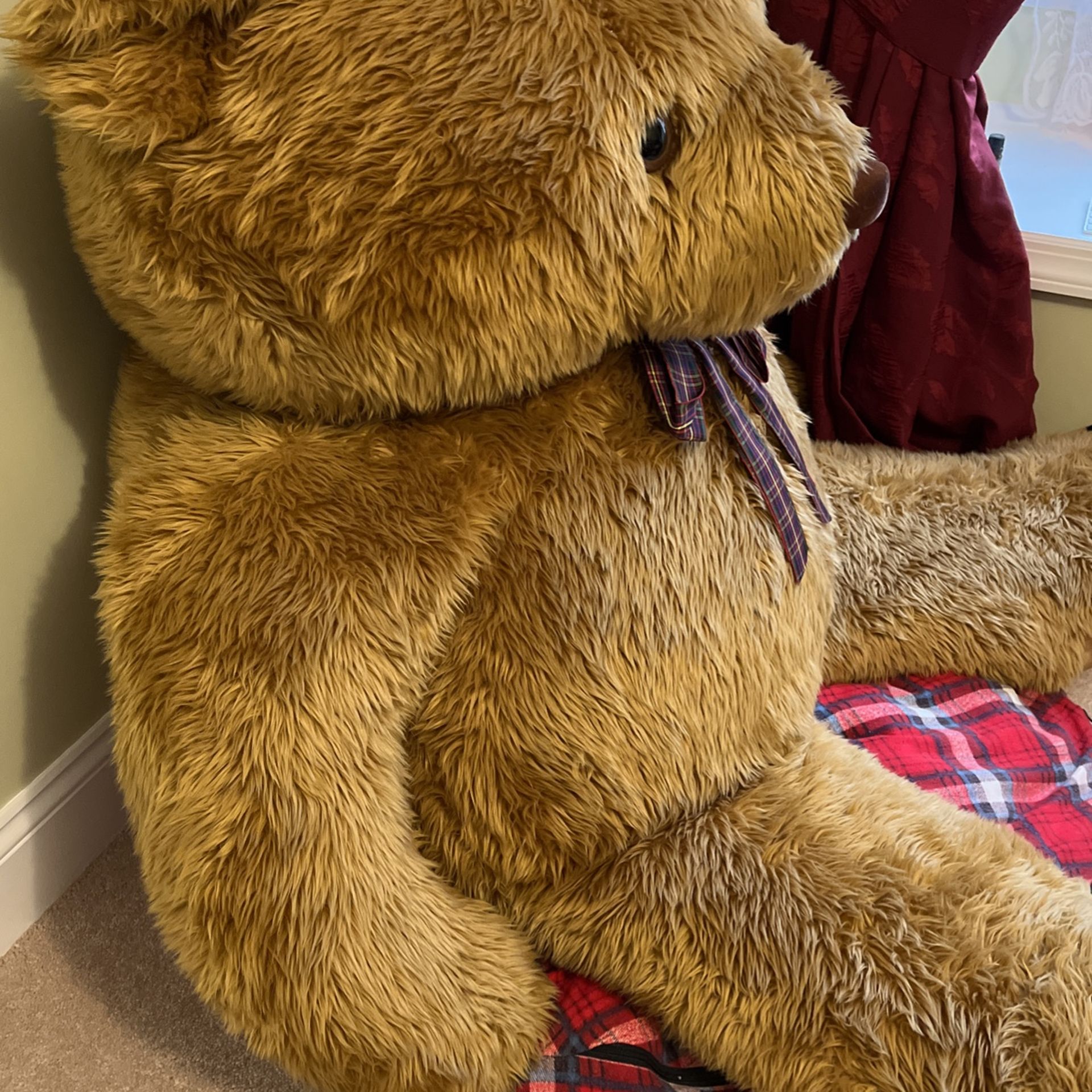 Giant teddy Bear