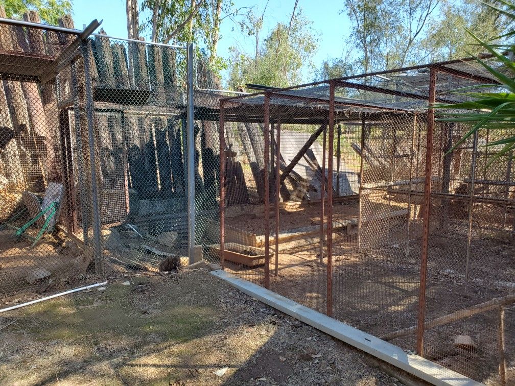 Free Cages