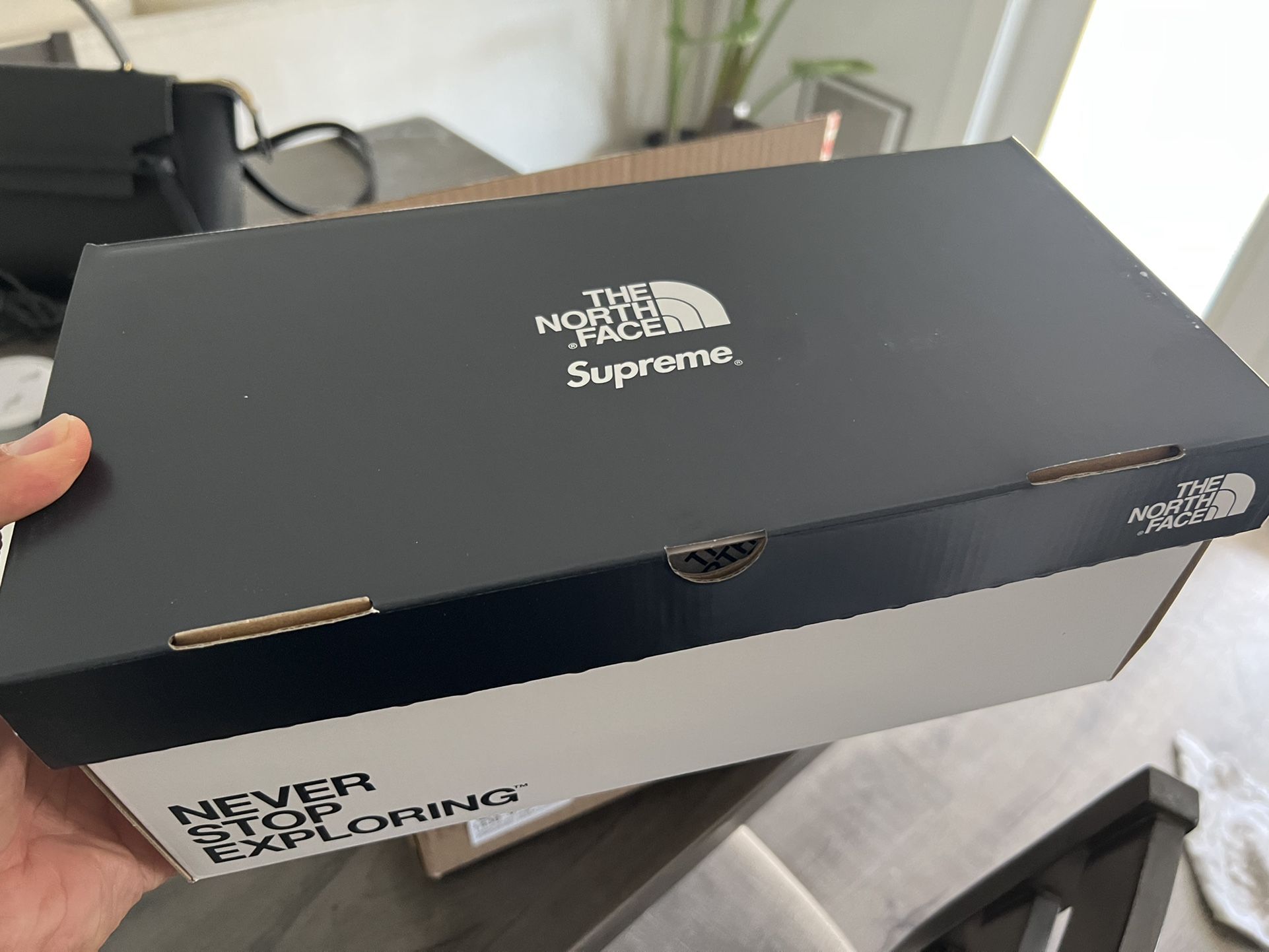 Supreme / North Face Trekking Sandals Size 10