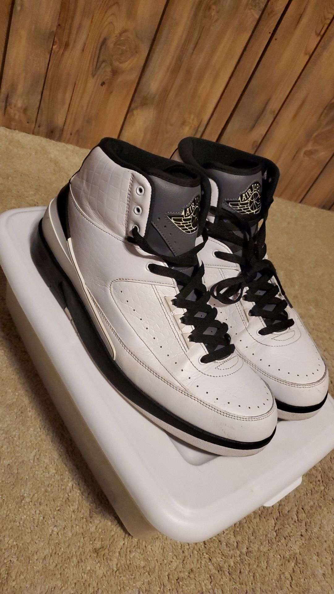 Air Jordan 2s "wing it" size 13 read discription