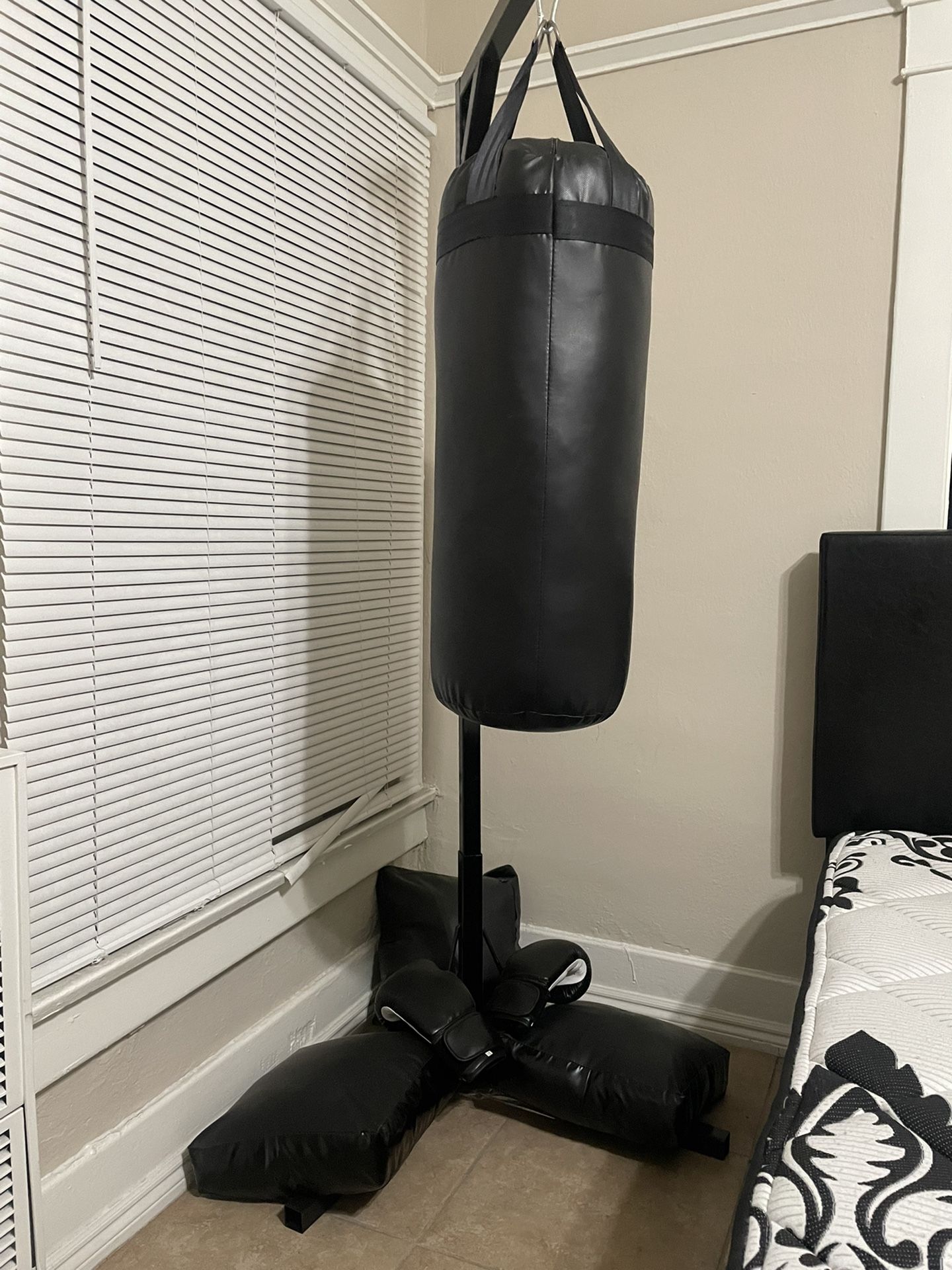 Punching Bag & Gloves