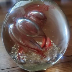 Glass Paperweight, Brand New, Bought In Germany Thumbnail