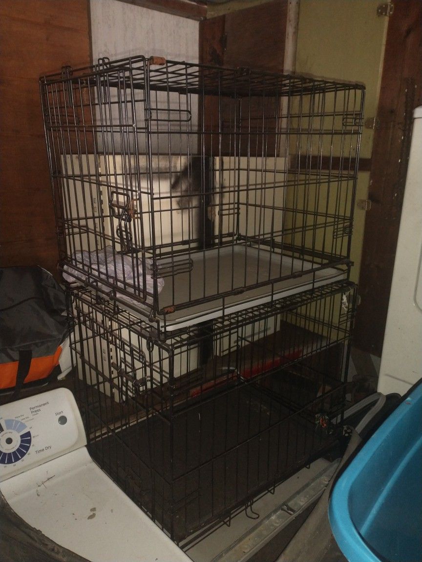 Two Medium Size Dog Kennels