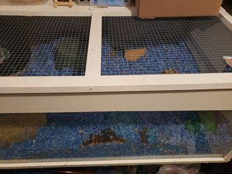 Hamster Cage 🐹  63 Inches Long X 28 Inches Wide! For $40 Need It Gone ASAP! Thumbnail