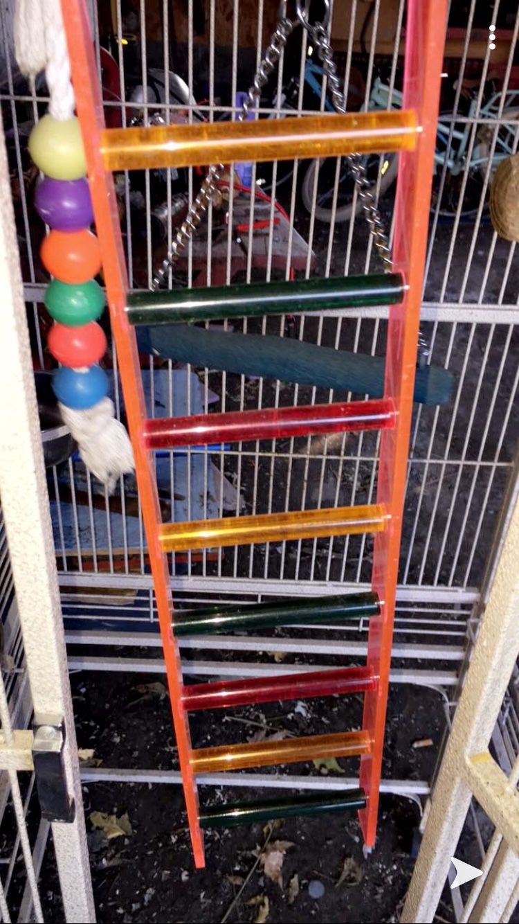 Huge nice bird cage with toys and food bowls we got the cage brand new for 500 hundred
