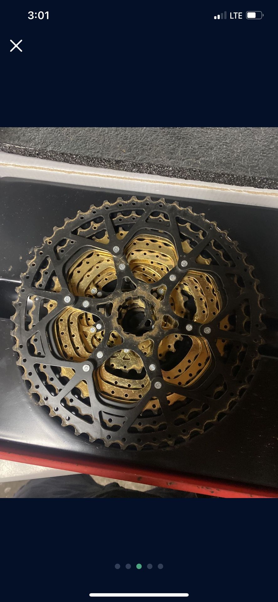 12 Speed Cassette