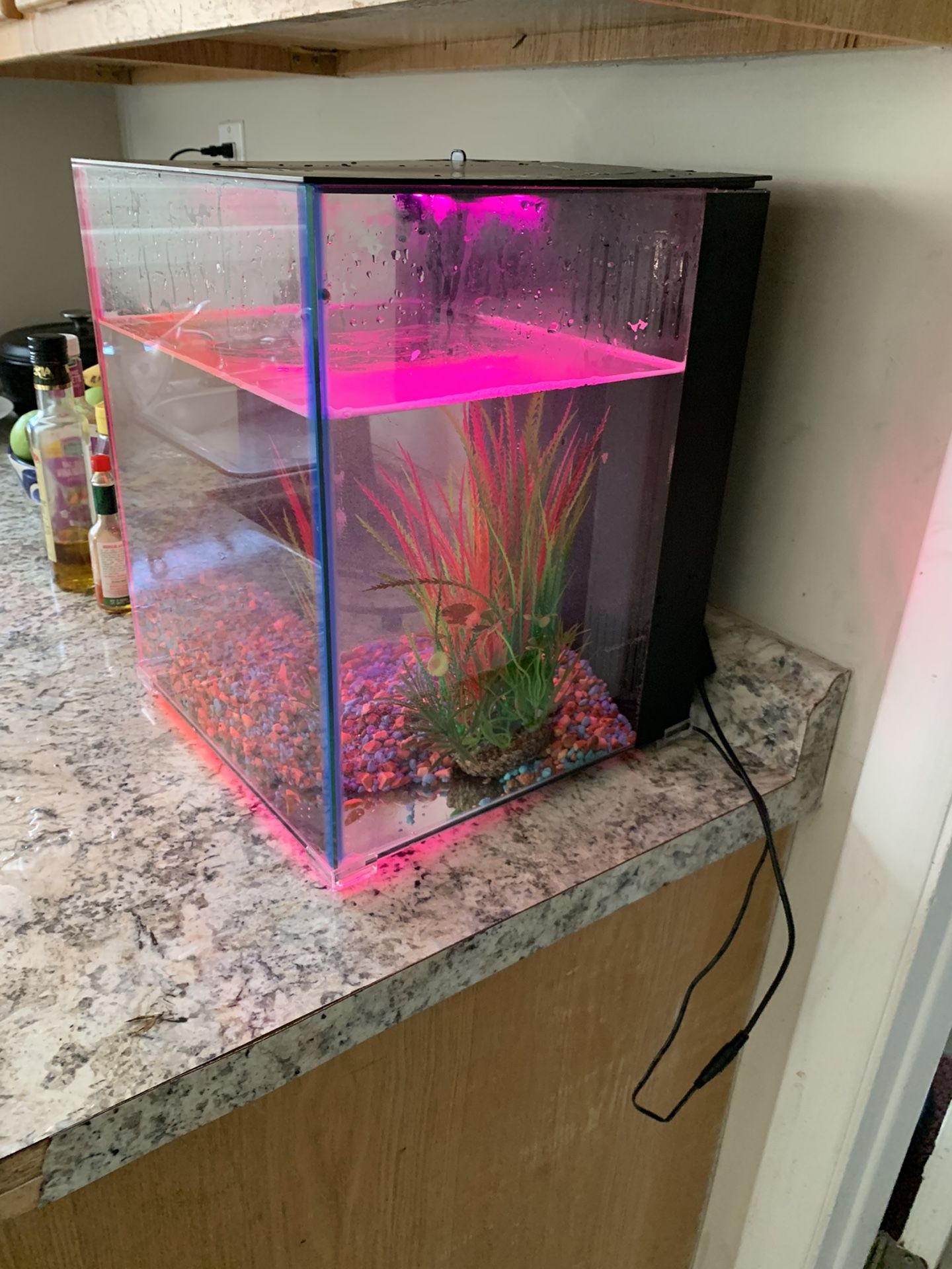 5gallon Fish Tank