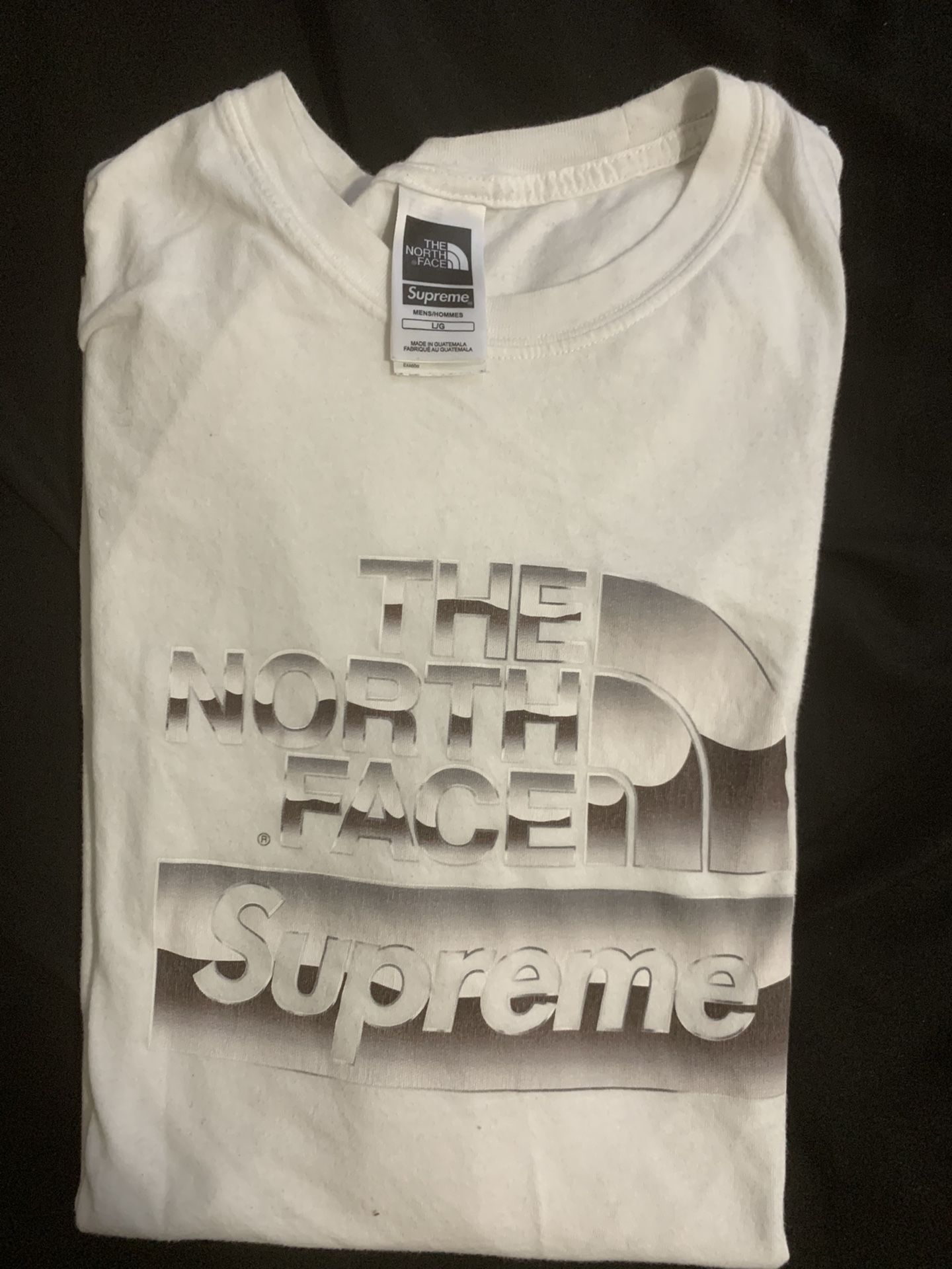 Supreme North Face collaboration Metallic logo Size L