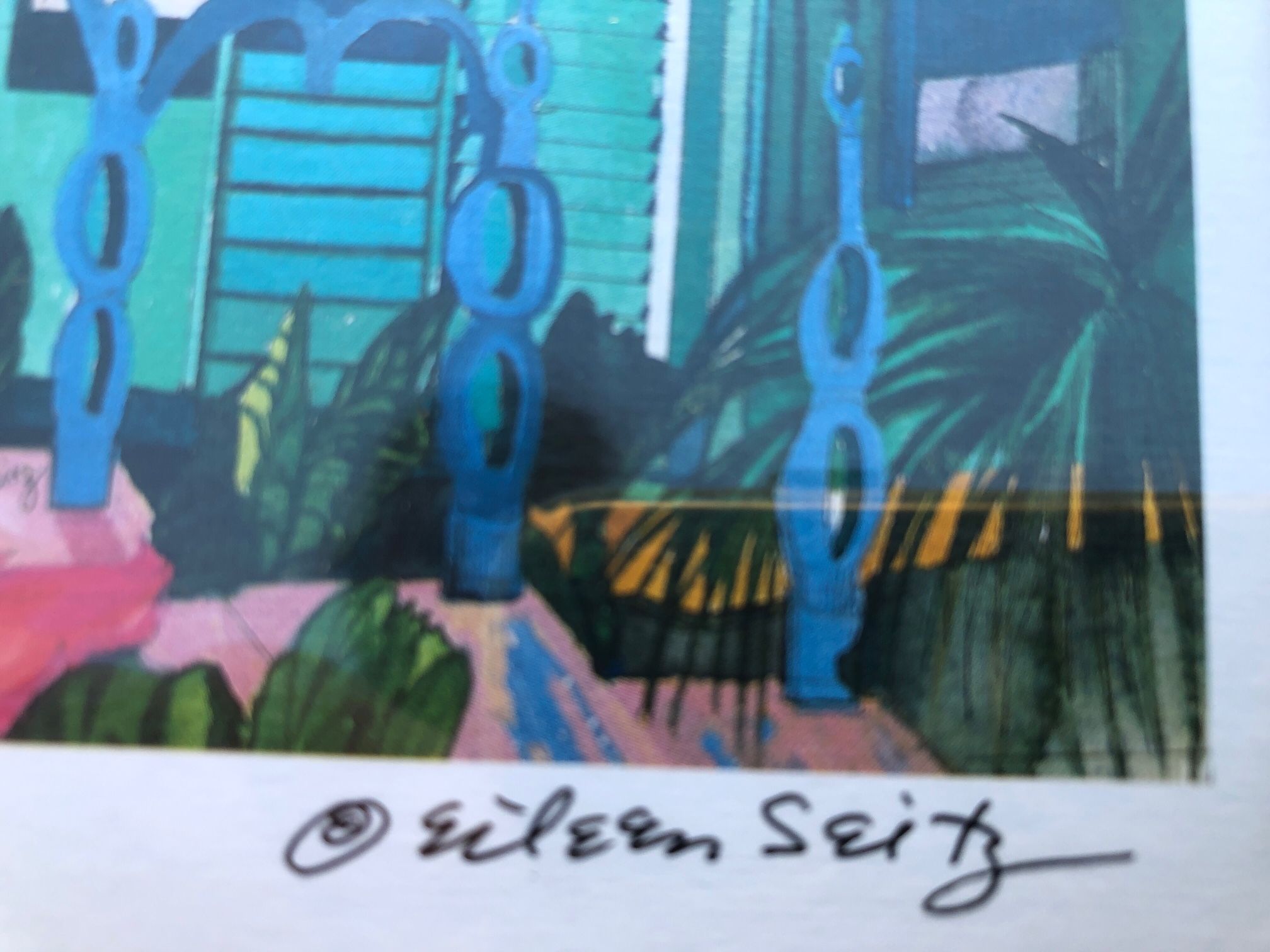 Vintage, Signed, Framed, Eileen Seitz Giclee Tropical Print