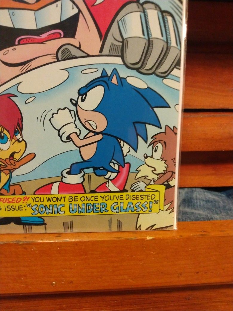 SONIC THE HEDGEHOG #16
