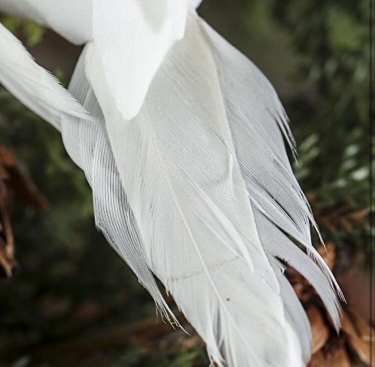 Group of 12 White Sweet Artificial Mushroom Dove Birds