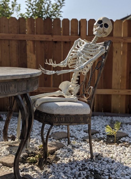 Halloween Decoration Skeleton