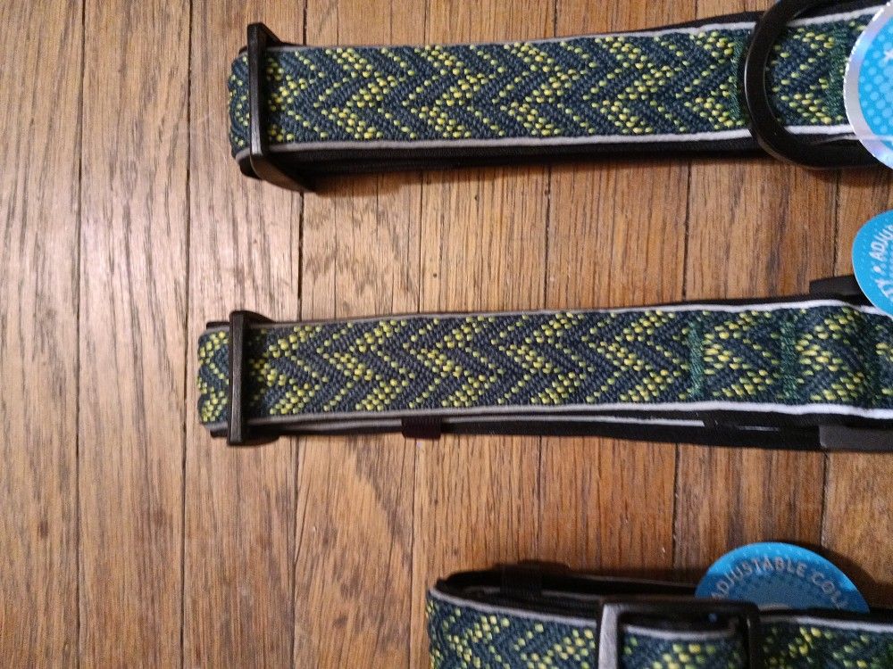 Green Padded Attractive Dog Collar