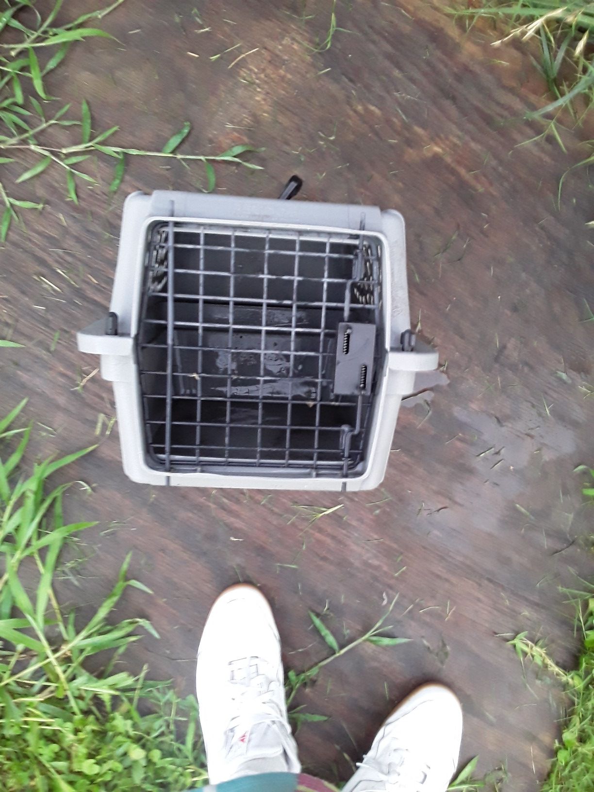 Dog kennel