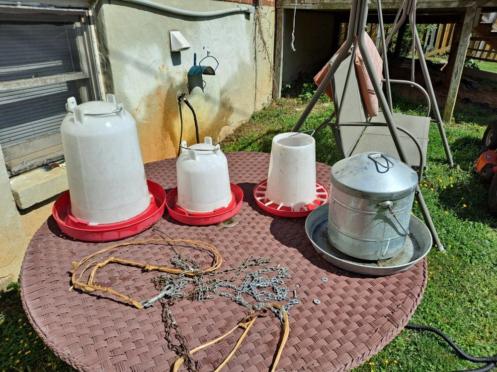 Chicken Feeders And Water