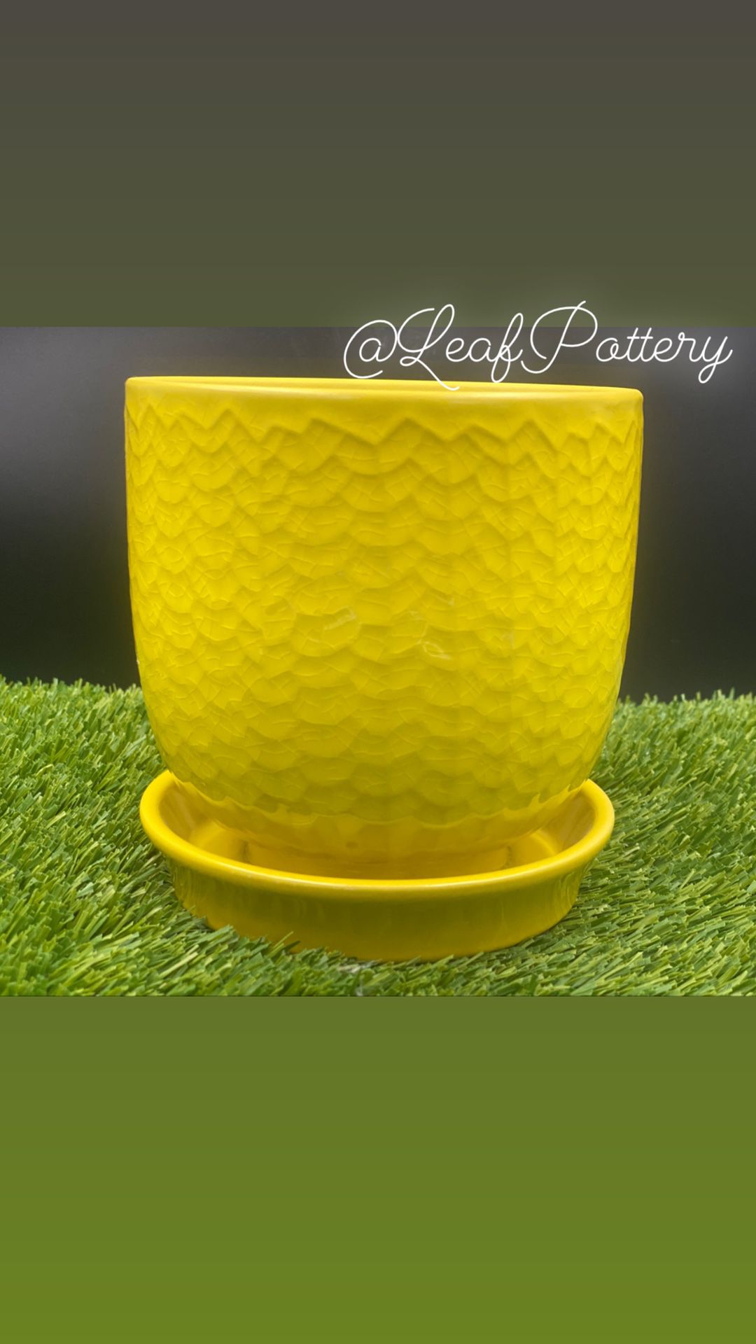 Sunshine Ceramic Planter Pot 