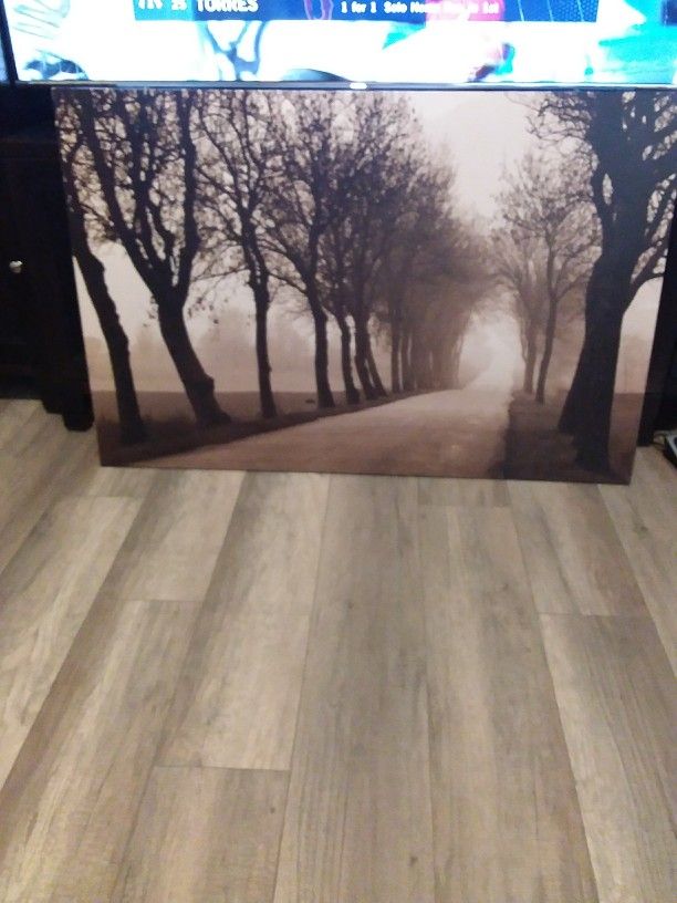 Large Canvas Art
