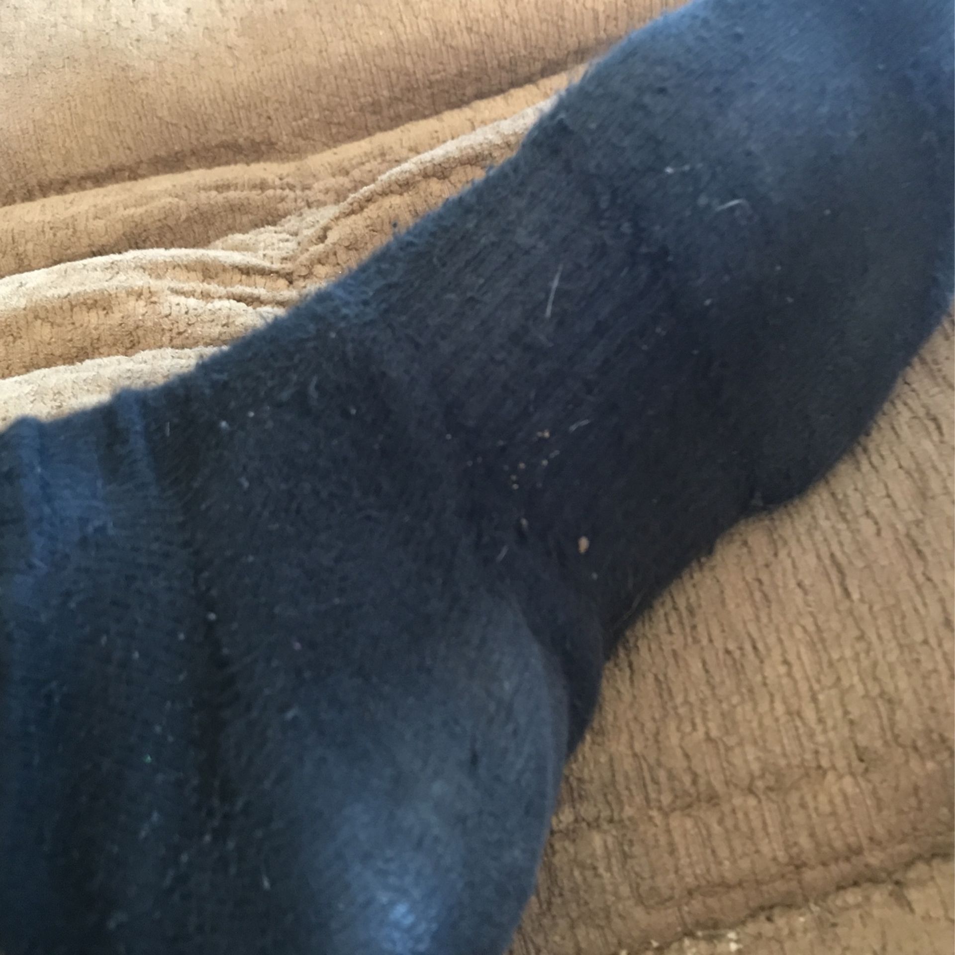 Sock