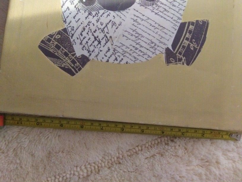 Pug Pictures & Pillow