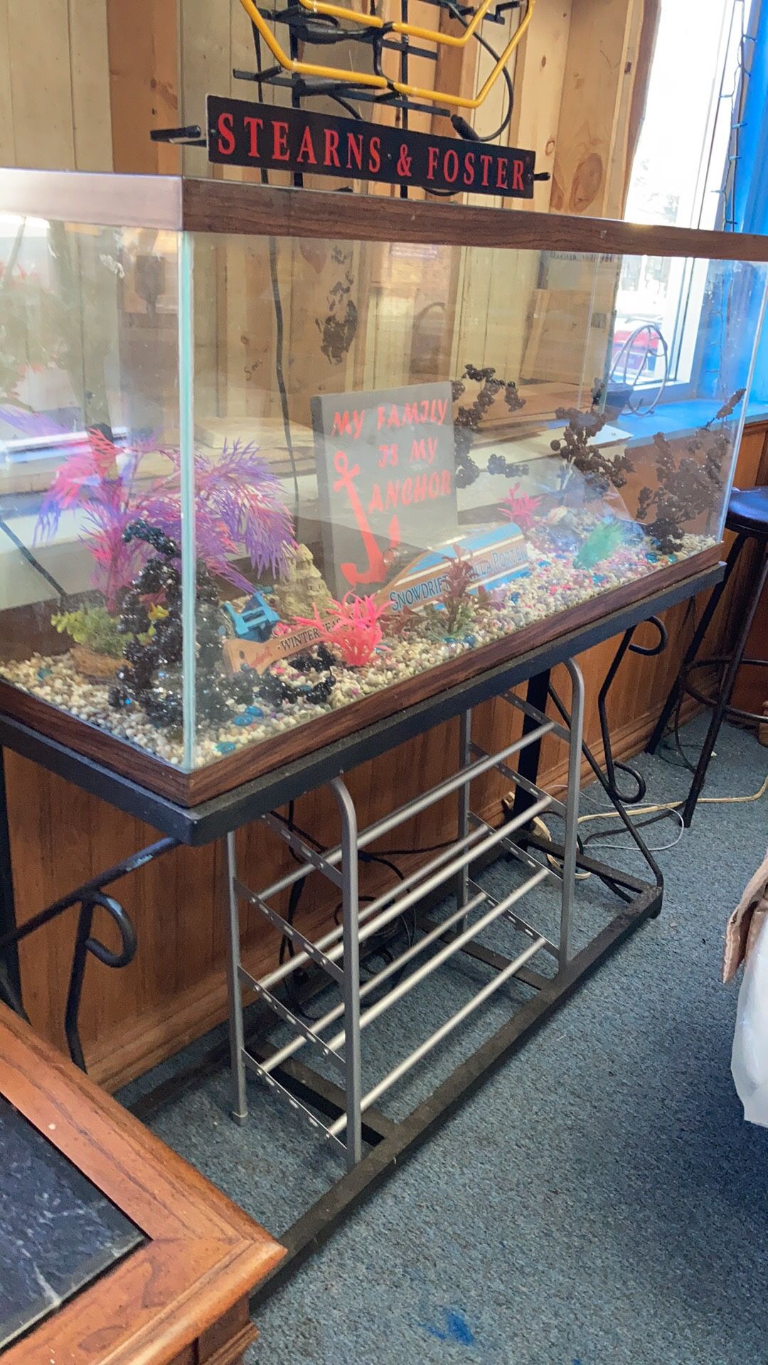 50 gallon fish tank