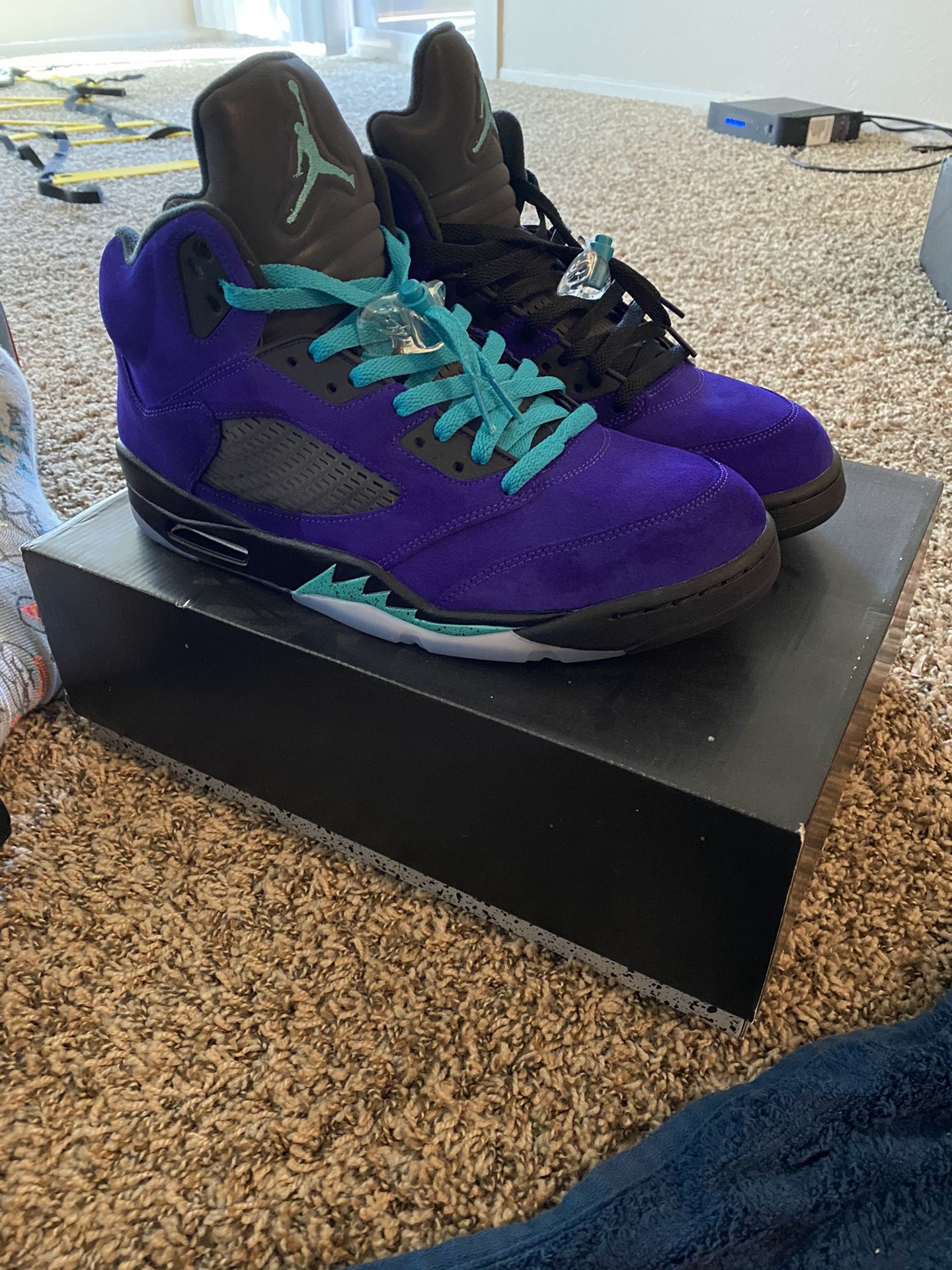 Retro Jordan Grape 5s