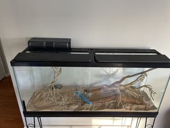 50 Gallon Tank + Stand.  The dimensions are 48x12x21 Thumbnail