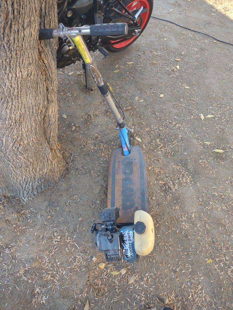 Gas Scooter