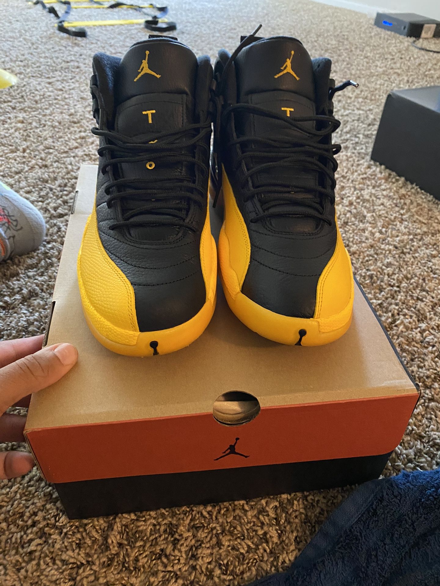 Retro Jordan 12s