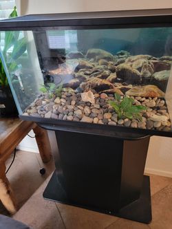 30 Gal tank/aquarium  Thumbnail
