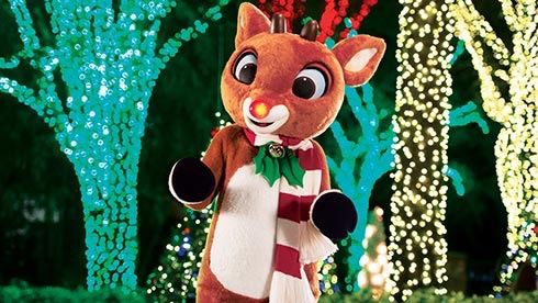 BLACK FRIDAY | 50% OFF | Busch Gardens & Seaworld