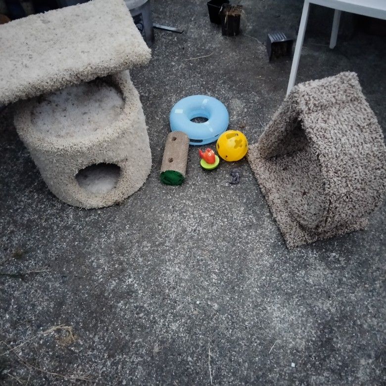 Cat Stuff