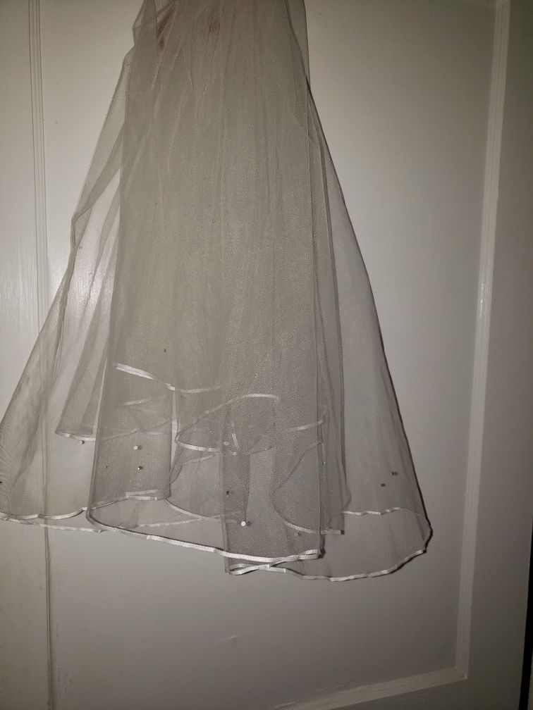 Wedding dress and veil