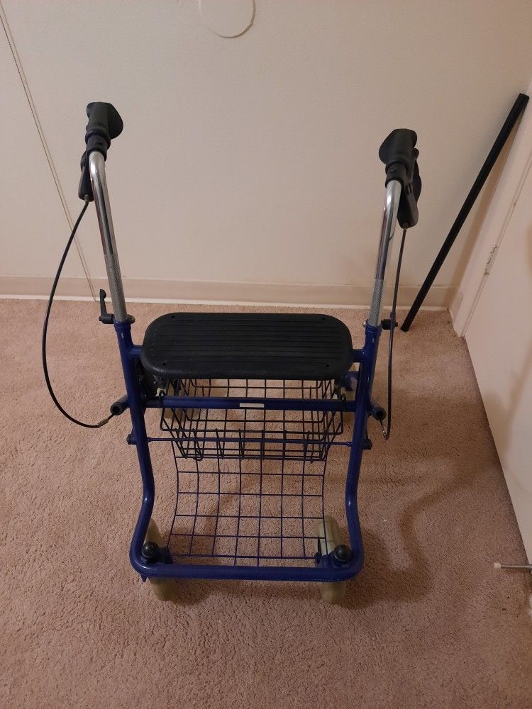 Buggy With Brake Handles And Basket